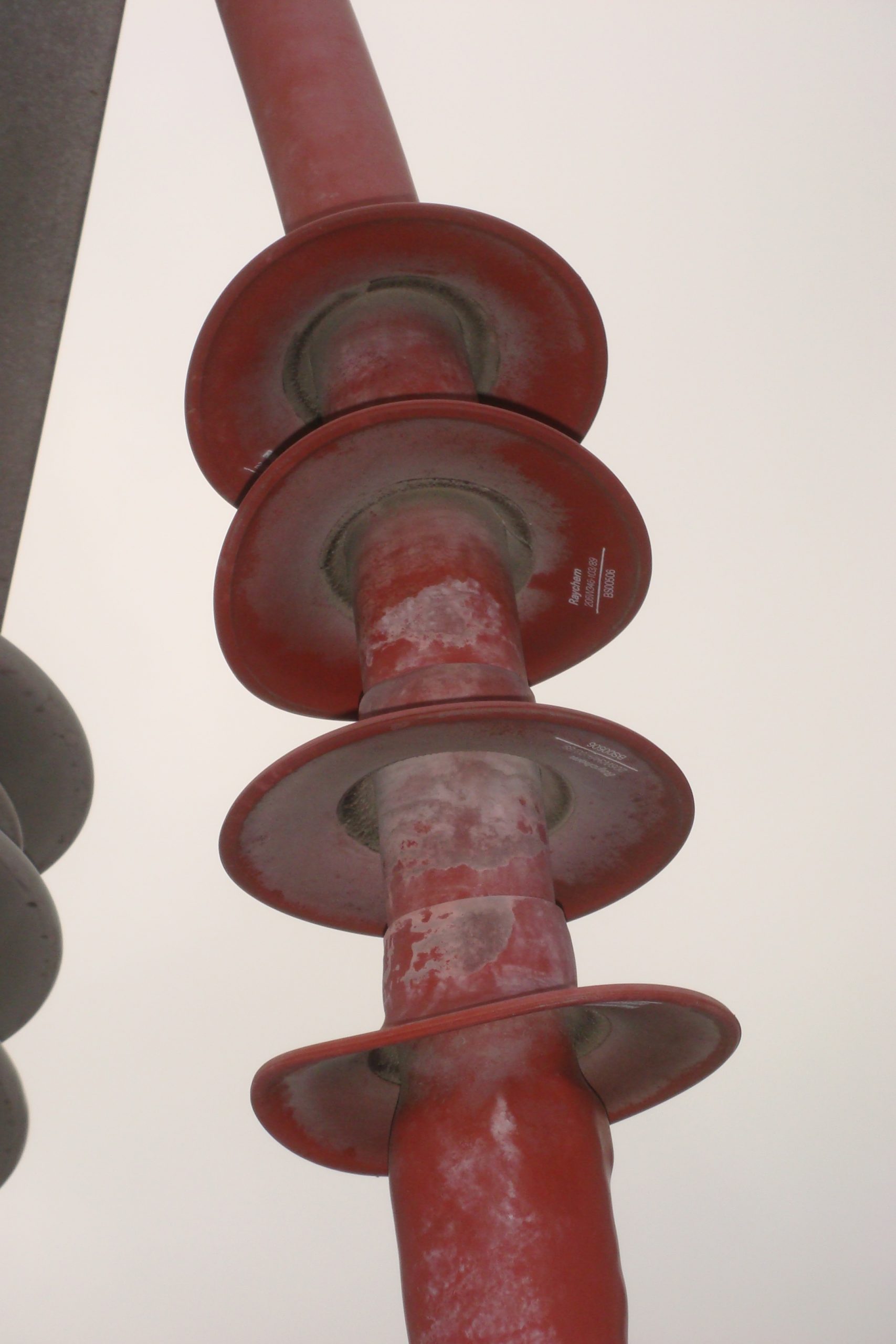 DSC07800